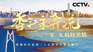 《香江永奔流》第2集 枝叶关情丨CCTV「香江永奔流」