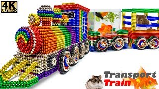 DIY - How To Make Transport Train for Pet From Magnetic Balls (Satisfying Relax) | Magnet Satisfying
