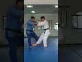 老師 示範投技 燕返 lovely judo hall teacher demonstration ashi waz tsubame gaeshi