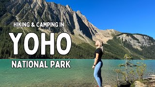 E4: Yoho National Park in September - Dispersed Van Camping \u0026 Hiking with a Dog