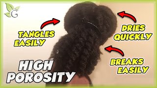 Is your hair HIGH POROSITY? How to know + Care tips