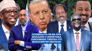 SOMALIYA IIB MA AHA WAXAAN U SHEGEYNAA ERDOGAN TURKIGA RUNTA WAXAA YIRI PROF SANATOR CABDI SAMATAR