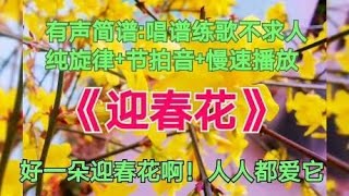 《迎春花》动态简谱，好一朵迎春花人人都爱它，跟着光标提示学歌