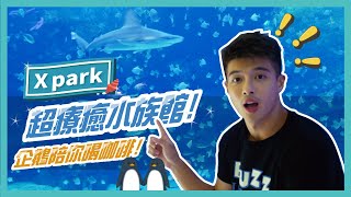 桃園XPark超美水族館，日本直送來台開