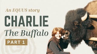 Charlie the Buffalo: An EQUUS Story, Part 1