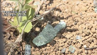 職務質問振り切りパトカーに衝突 警察官が拳銃発砲　カンボジア人の男逮捕　山梨県(2025年2月14日)