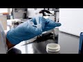 Transformations Tip #2: Centrifuge and Plate Entire Transformation