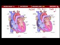 rrb group d 2025 rrb group d science classes railway group d science class circulatory system