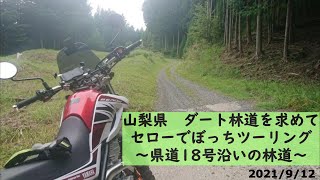 山梨県　ダート林道を求めてセローでぼっちツーリング　～県道１８号沿いの林道～　林道３本