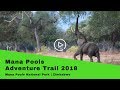 Highlights From The 2018 Mana Pools Adventure Trail
