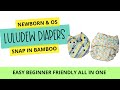 Luludew All In One Cloth Diaper Review Newborn and OS