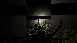 "First Rain Shower Unveils Nature's"🎶🌴☔💧✨ Symphony"Subscribe#monsoonvibes #viral #shorts#moonlight