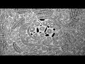 Nimo - Cacha (Original Mix)