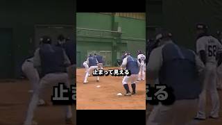 【衝撃】あまりに異常な練習風景3選‼ #野球解説 #プロ野球