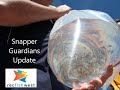 Snapper Guardians Update December 2015
