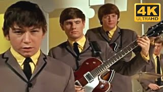 The Animals - House Of The Rising Sun (Music ) [4K HD]