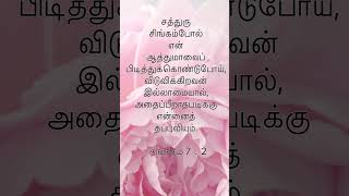 சத்துரு சிங்கம் போல் என் ஆத்துமாவை பீறாதபடிக்கு தப்புவிங்கப்பா#