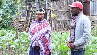 Empowering Rural Communities Through the Farm Business Advisor Model - iDE Ethiopia