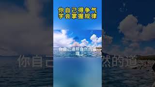 曾仕强：你自己得争气学会掌握规律#曾仕强国学智慧 #国学文化 #为人处世