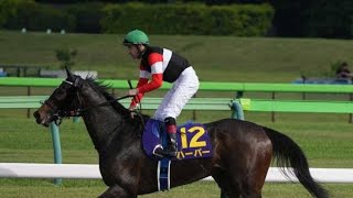 【札幌５Ｒ・２歳新馬】ナチュラルライズが超抜タイムで圧勝！　横山武史騎手「大きいところを目指せる」