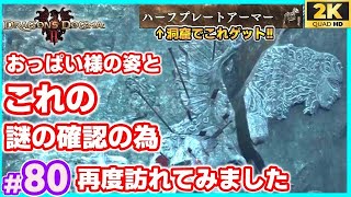 #80【DD2】取り逃がしたスフィンクスを求めて再び最初の神殿に訪れてみました 「ドラゴンズドグマ2」「DragonsDogma2」