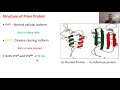 Introduction to Prions || Structure and Composition of Prions || Part 01