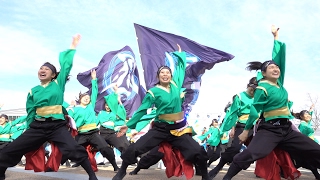 [4K]よさこいソーランチーム凰　岐阜聖徳学園大学 19th岐聖祭