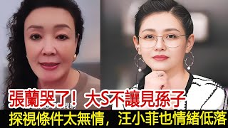 張蘭哭了！大S不讓見孫子，探視條件太無情，汪小菲也情緒低落#汪小菲#張蘭#小S#大S#具俊曄#馬筱梅#葛斯齊#娛樂星聞