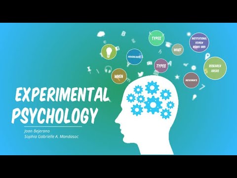 Psy402 | Assignment 1 Solution | Experimental Psychology - YouTube