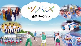 [あおきいろ]【ツバメ】山梨バージョン | ひろがれ！いろとりどり | 未来へ17アクション | SDGs | NHK