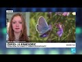 Covid-19: From sanitary emergency to climate rescue