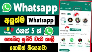 New whatsapp update and features sinhala | Whatsapp New tips and tricks sinhala