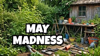 May Madness: The Homestead is Out of Control!