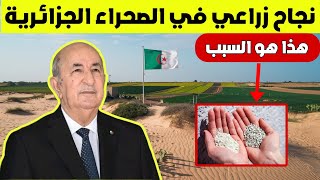 إستخدام الزيوليت zeolite في الصحراء الجزائرية: قصة نجاح زراعي تبهر العالم 🇩🇿