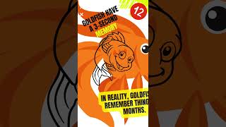 Myth Exposed: Separating Fact from Fiction #mythvsfact #mythbusting #fictionvsreality