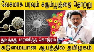 #BREAKING தமிழகத்தில் எங்கெல்லாம் பரவுகிறது கரும்பூஞ்ஜை தொற்று ?