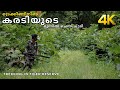 ട്രെക്കിങ്ങിനിടെ കരടിയുടെ മുന്നിൽ പെട്ടു !!! 4K