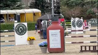 Toulanda degli Assi (2014 Toulon) clear \u0026 placed 1.35 CSI2* Gorla Minore