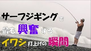 神奈川 西湘サーフ ショアジギング ナブラが走りイワシが打ちあがる瞬間  MANCING MANIA JAPAN