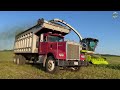 merging u0026 chopping alfalfa whiteleather farms minerva ohio