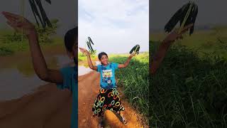 ഗ്രാമീണ ഭംഗി 👌#trending #song #thamil #indianmusic #shortsviral