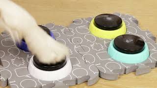 TIAKI Pet Talking Buttons \