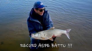 RECORD ASPE AU RISERBAIT 007 (75CM) !!!