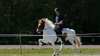 Framtid frá Visindahofi Fizo '16