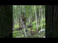 Building a log cabin in Fairbanks Alaska. #womanpower