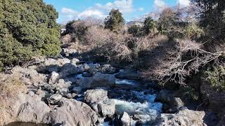 2025年1月 富士山115（龍巌渕から）