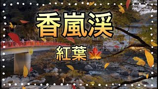 香嵐渓　紅葉🍁豊田市足助町　4K