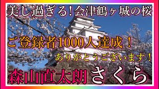 【会津若松】 美し過ぎる！会津鶴ヶ城の桜！🌸 Beautiful Cherry Blossoms in Japan Castle Sakura 会津若松市