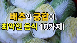 배추와 궁합이 최악인 음식 10가지