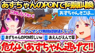 【新ホロ鯖】あずちゃんに最新作の『アルマジロ無限経験値トラップ』お披露目した結果、あずちゃんの珍しいPONで阿鼻叫喚となってしまうぺこあずw【ホロライブ切り抜き/兎田ぺこら/AZKi】